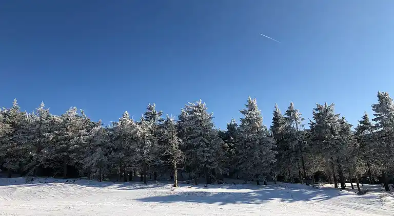 Feriebolig i Jáchymov