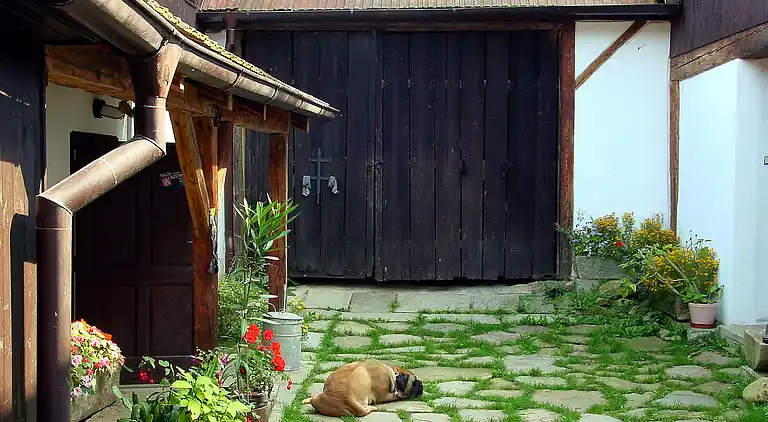 Holiday home in Benešov nad Černou