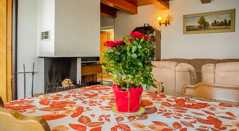 Feriebolig i Dehtáře