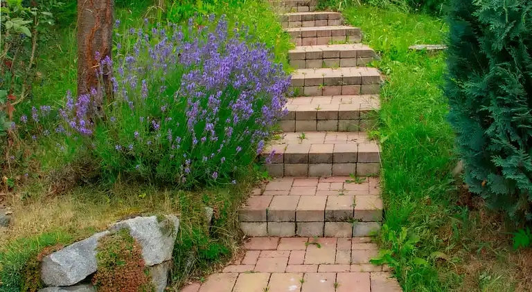 Feriebolig i Dehtáře