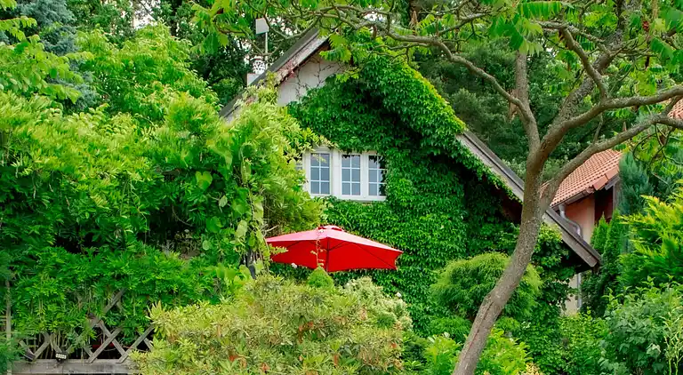 Feriebolig i Dehtáře