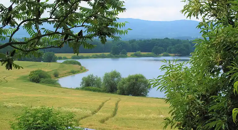 Feriebolig i Dehtáře