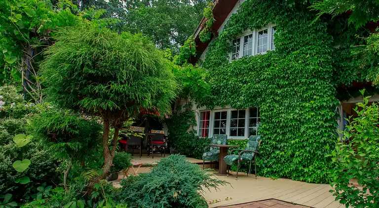 Feriebolig i Dehtáře