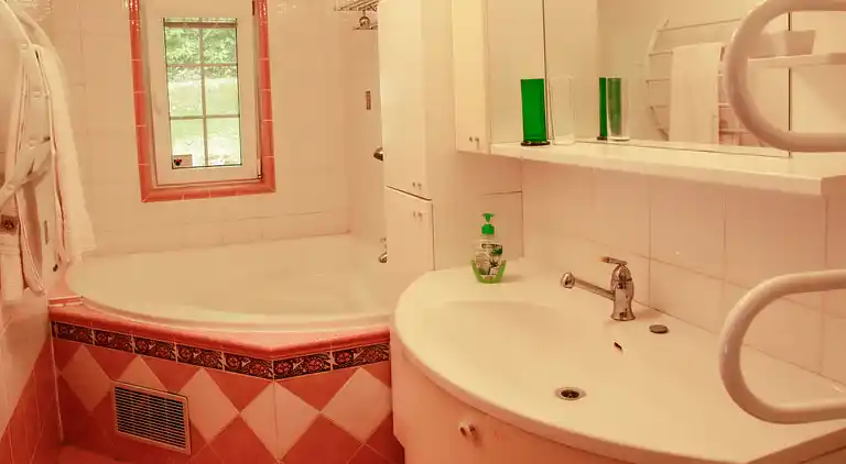 Feriebolig i Dehtáře