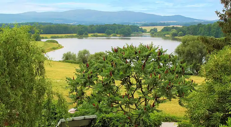 Feriebolig i Dehtáře