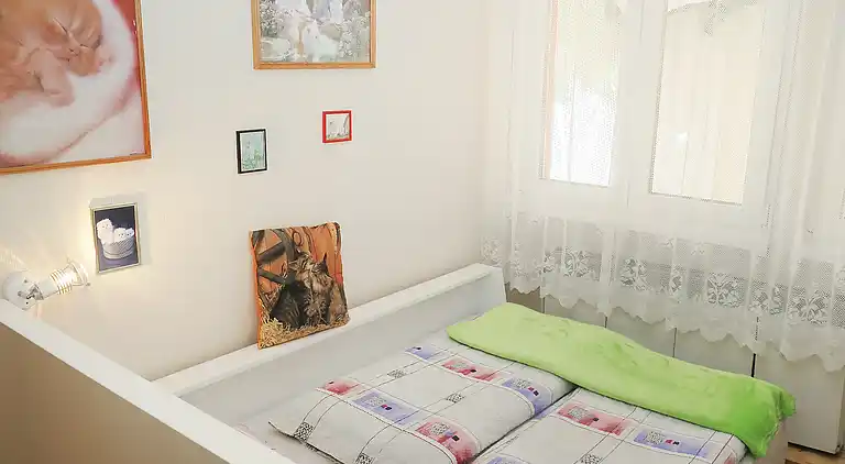 Feriebolig i Olešná