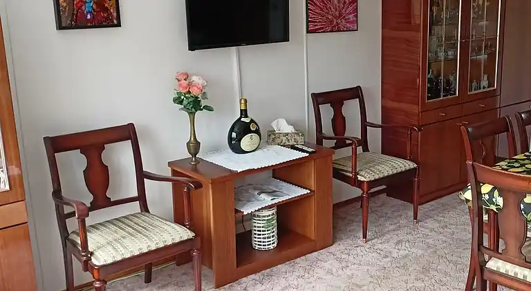 Feriebolig i Olešná