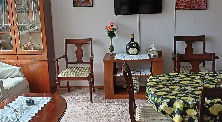 Feriebolig i Olešná