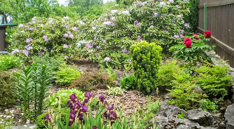 Feriebolig i Jesenný