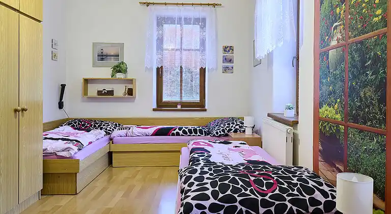 Holiday home in Zlatá Olešnice