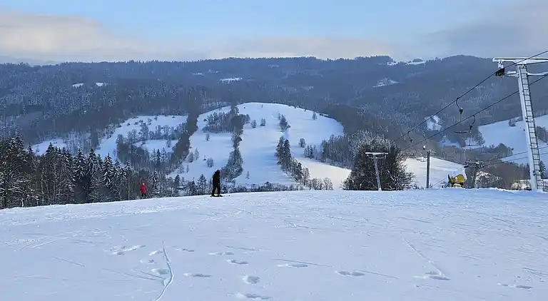 Holiday home in Stárkov