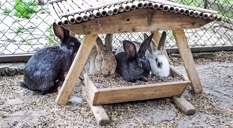Holiday home in Stárkov