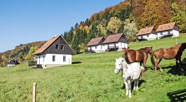 Holiday home in Stárkov