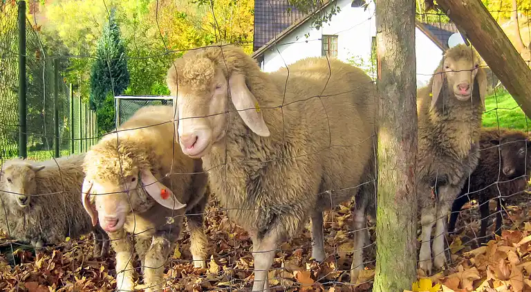 Holiday home in Stárkov