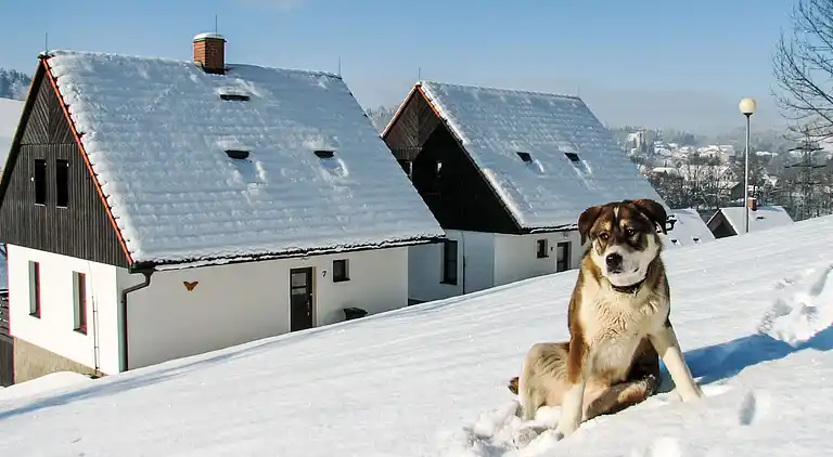 Holiday home in Stárkov