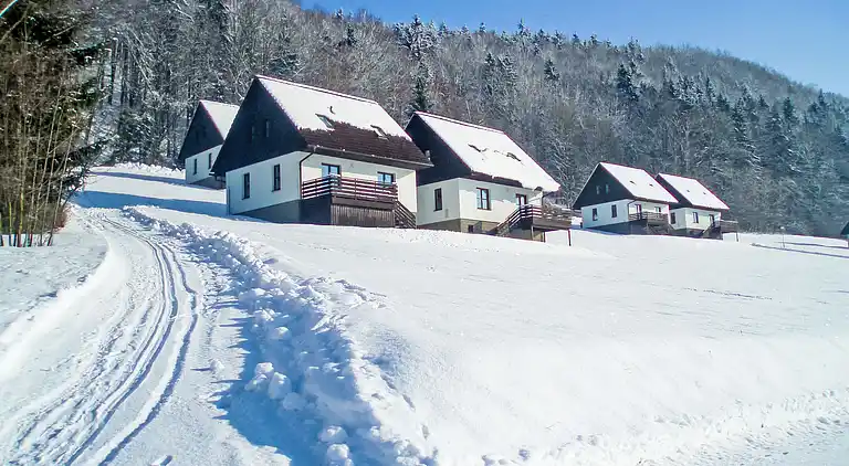 Holiday home in Stárkov
