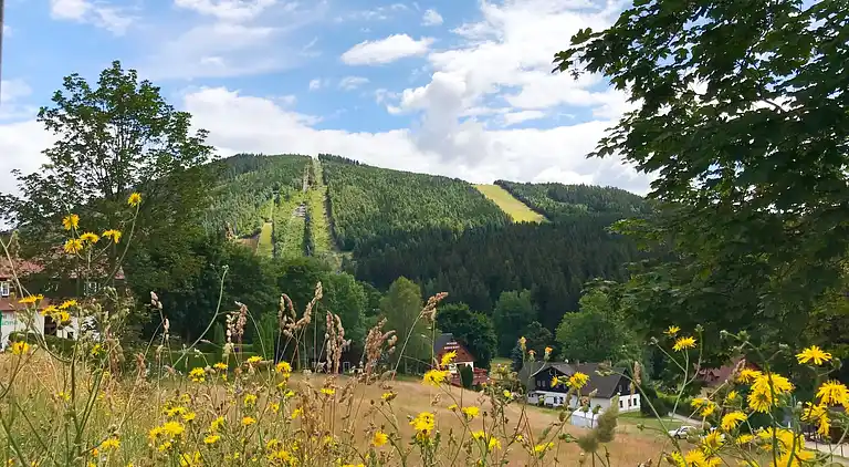 Feriebolig i Nový Svět