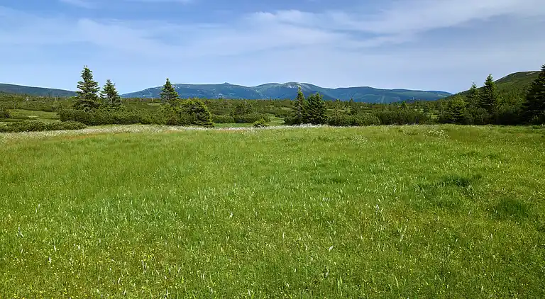 Feriebolig i Vítkovice