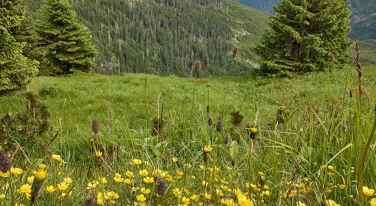 Feriebolig i Vítkovice