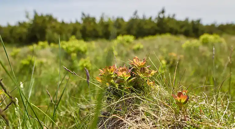 Feriebolig i Vítkovice
