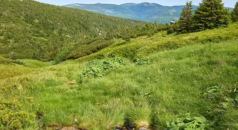 Feriebolig i Vítkovice