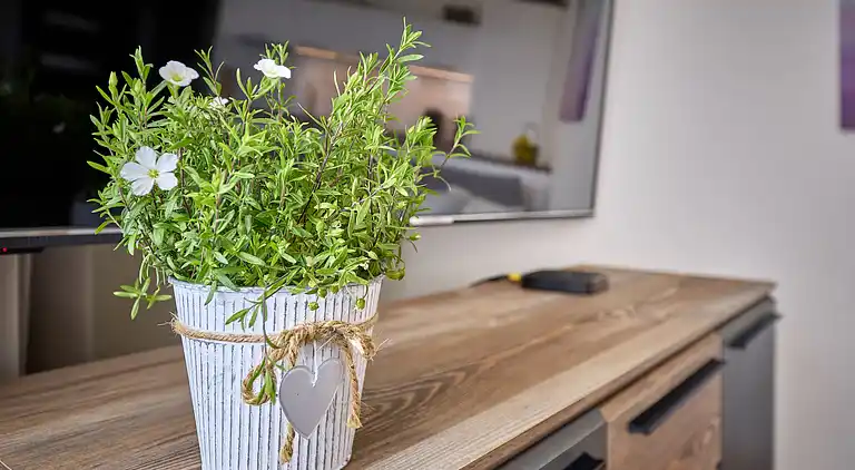 Holiday home in Vítkovice