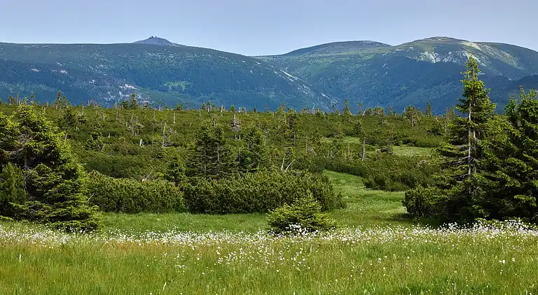 Holiday home in Vítkovice