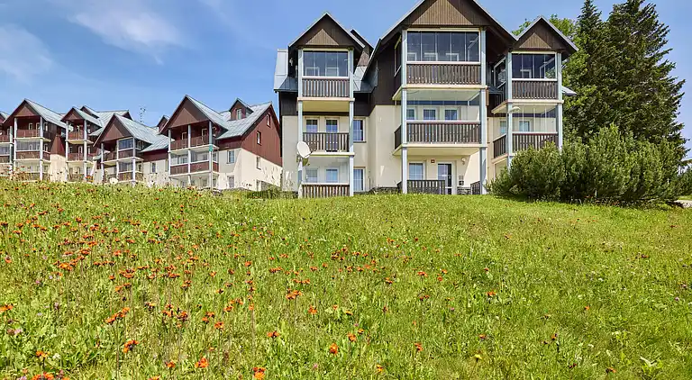 Holiday home in Vítkovice