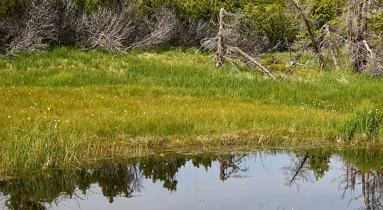 Holiday home in Vítkovice