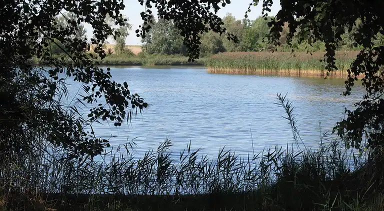 Holiday home in Zábrodí