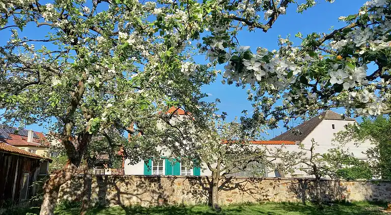 Feriebolig i Kojetice