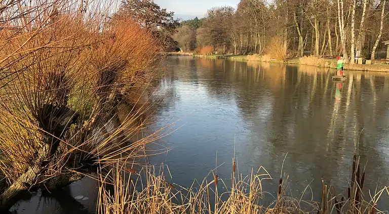 Feriebolig i Kojetice