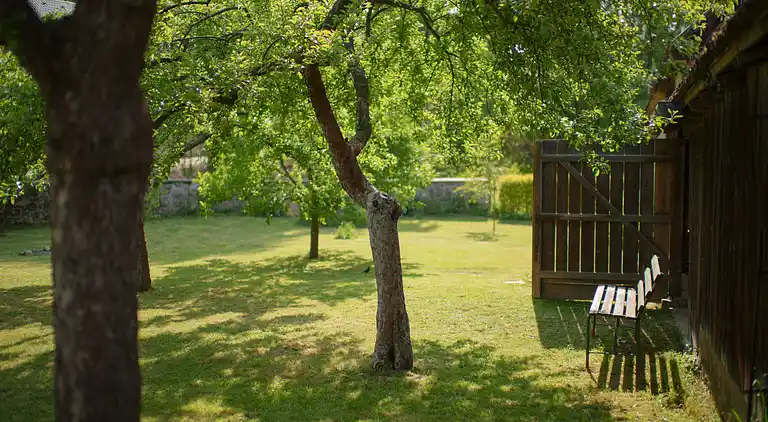 Feriebolig i Kojetice