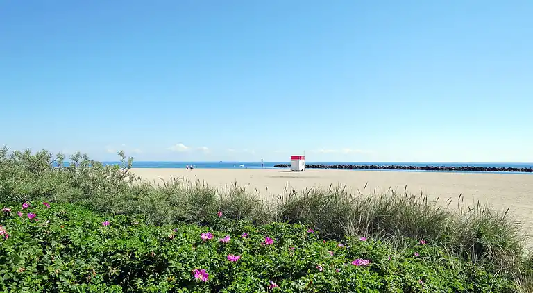 Ferienhaus in Thumby