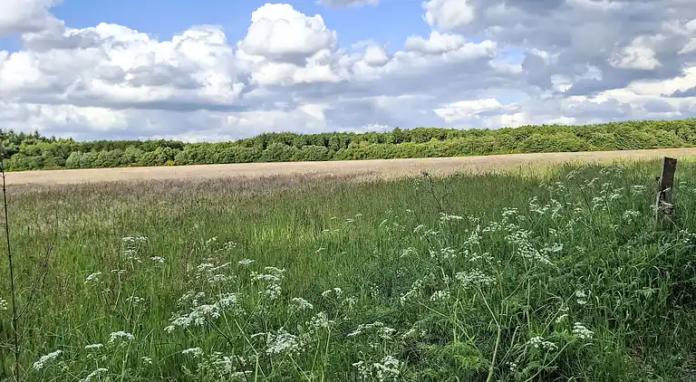Casa de vacaciones en Huntlosen