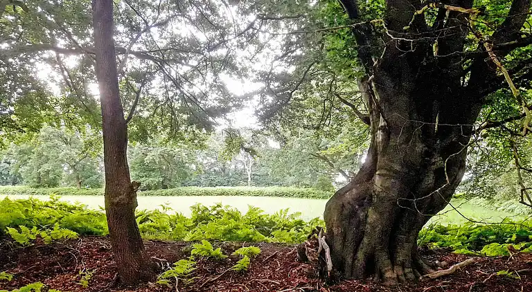 Casa de vacaciones en Huntlosen