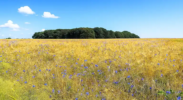 Casa de vacaciones en Huntlosen