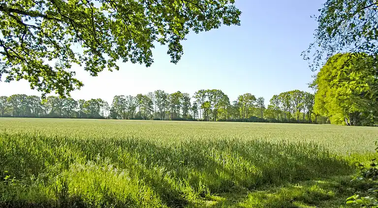 Casa de vacaciones en Huntlosen
