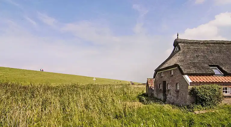 Holiday home in Westermarsch II