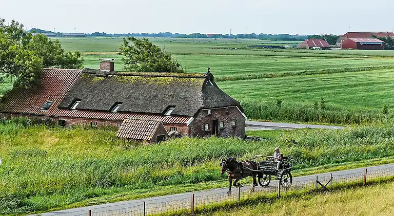 Holiday home in Westermarsch II