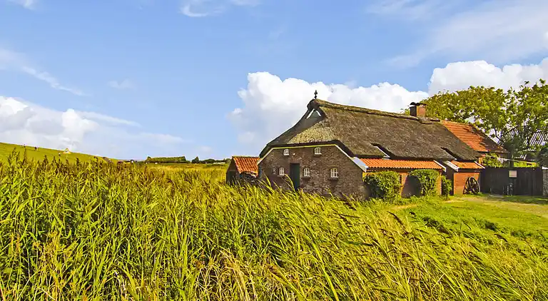 Holiday home in Westermarsch II