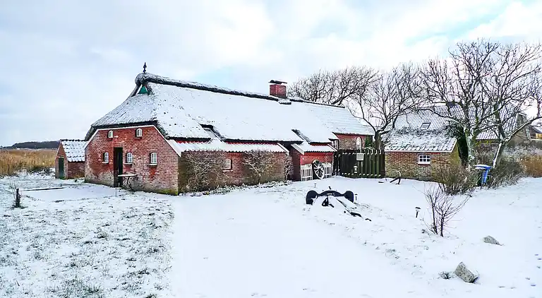 Holiday home in Westermarsch II