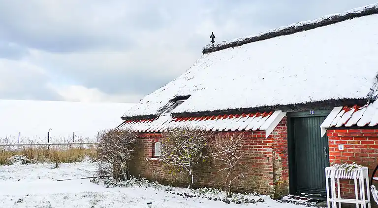 Feriebolig i Westermarsch II