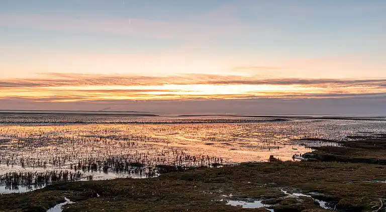 Feriebolig i Norddeich
