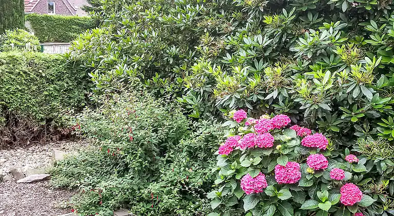 Feriebolig i Halbemond