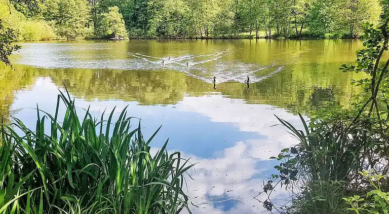 Feriebolig i Feriendorf Frankenau