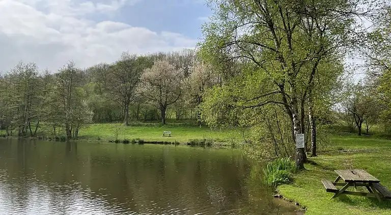 Feriebolig i Feriendorf Frankenau
