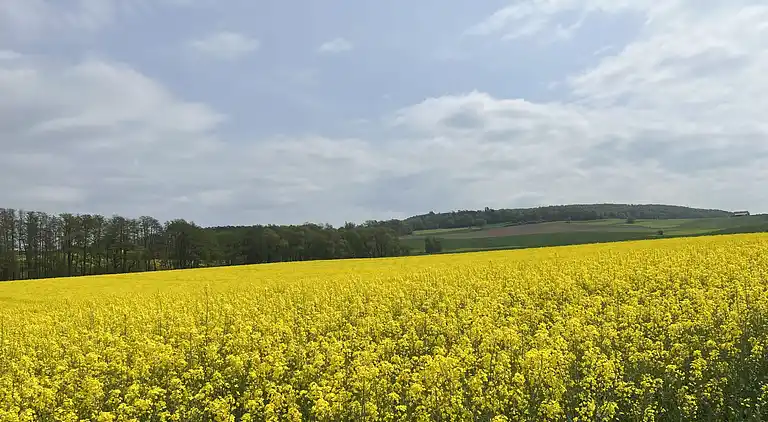 Holiday home in Feriendorf Silbersee