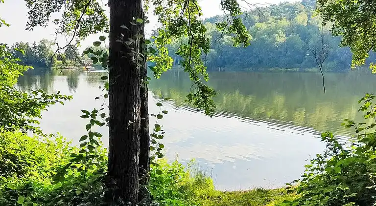 Holiday home in Feriendorf Silbersee