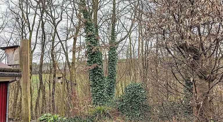 Holiday home in Rott